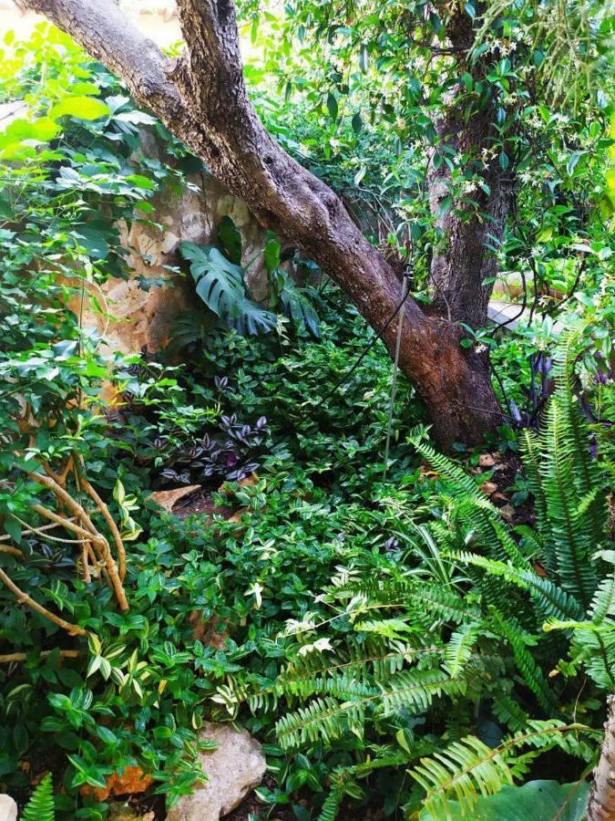 Olive Lemon Biophilic House & Lush Forest Garden Vamos Exterior photo